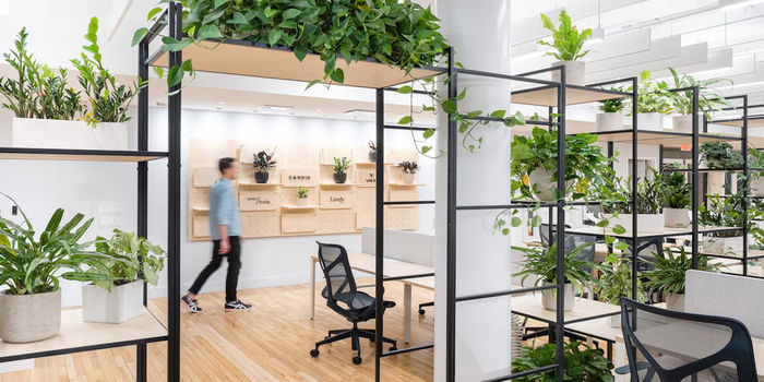 Incorporating Office Furniture in Biophilic Design 